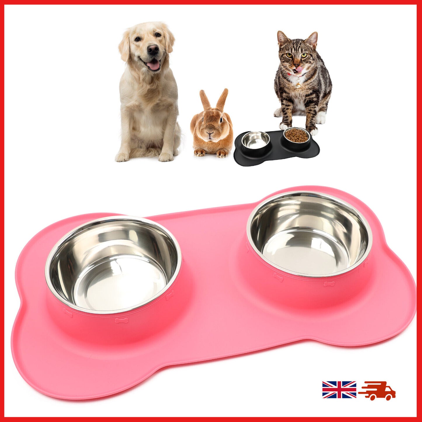 Pets Bowl for Food and Drink Double Bowls Stainless Steel Non Slip for Pets