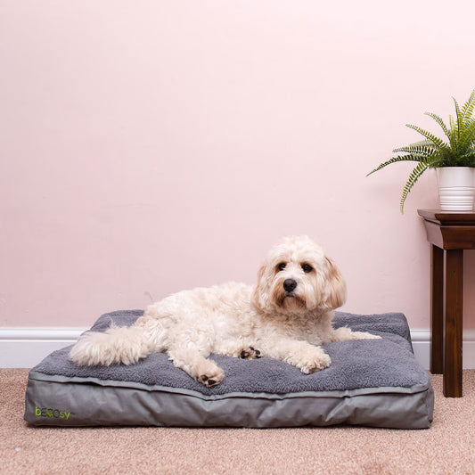 Becosy Medium Pet Bed