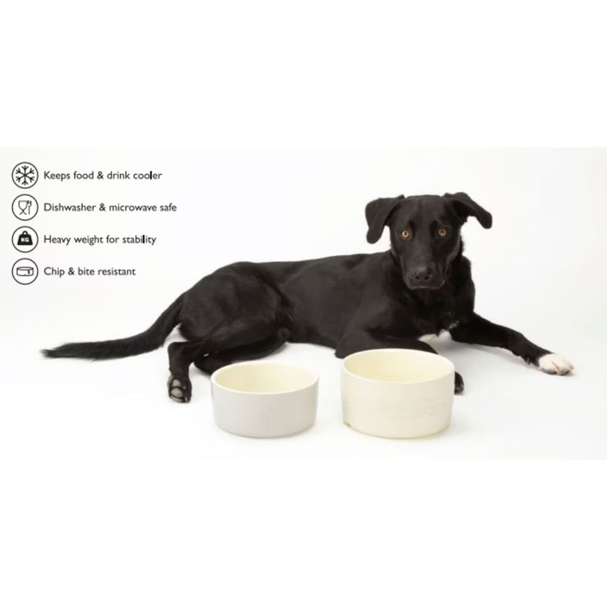 Dog Food & Water Bowl Set